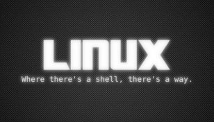  Linux ǰʱ Bash 